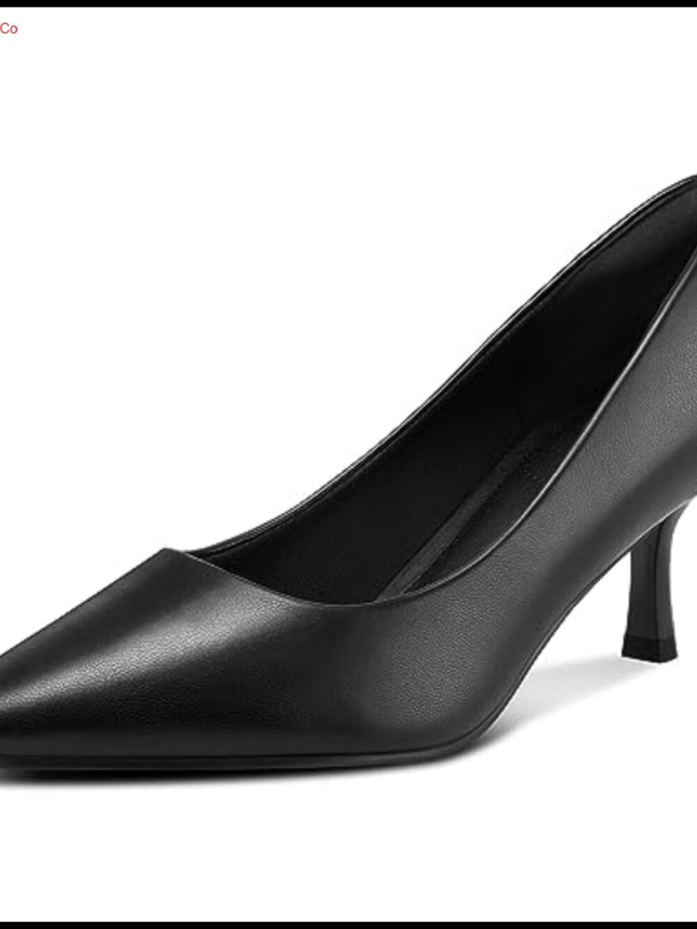 Kitten Heel Closed Toe Pointed Toe Pump Dress Shoe